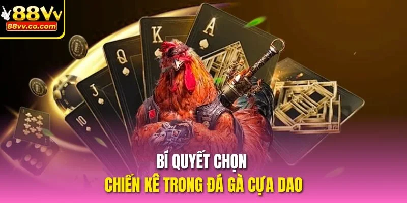Bí quyết chọn chiến kê trong đá gà cựa dao