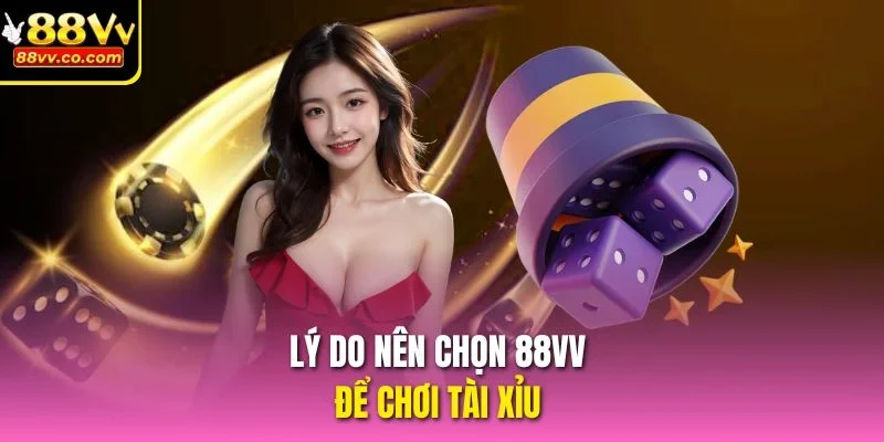 Lý do nên chọn 88vv để chơi tài xỉu